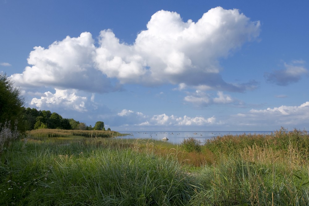 Seascape near Kaltene, Kaltene Birds' Trail