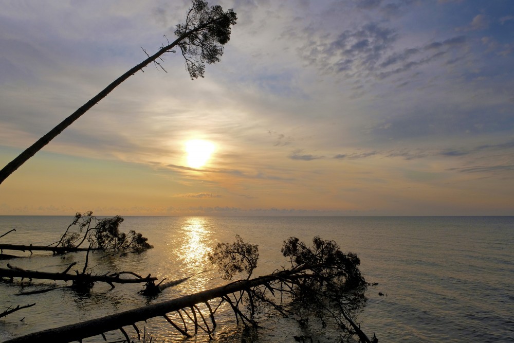 Saullēkts Kolkasragā