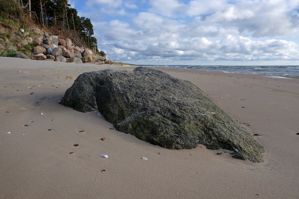 Stone on the Beach