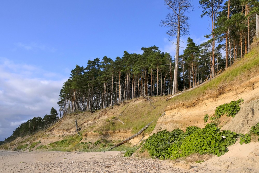 Sārnates stāvkrasts