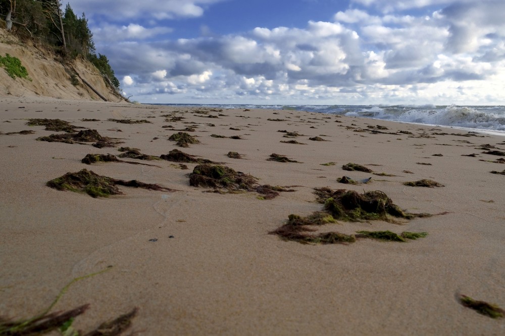 Jūraszāles pludmalē