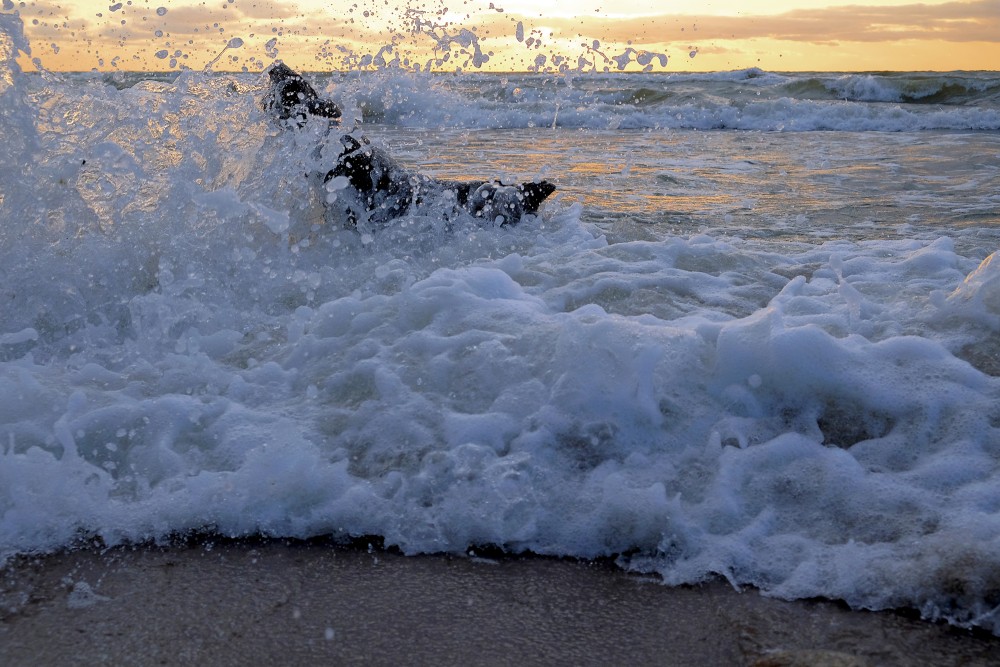 Sea Waves Splash