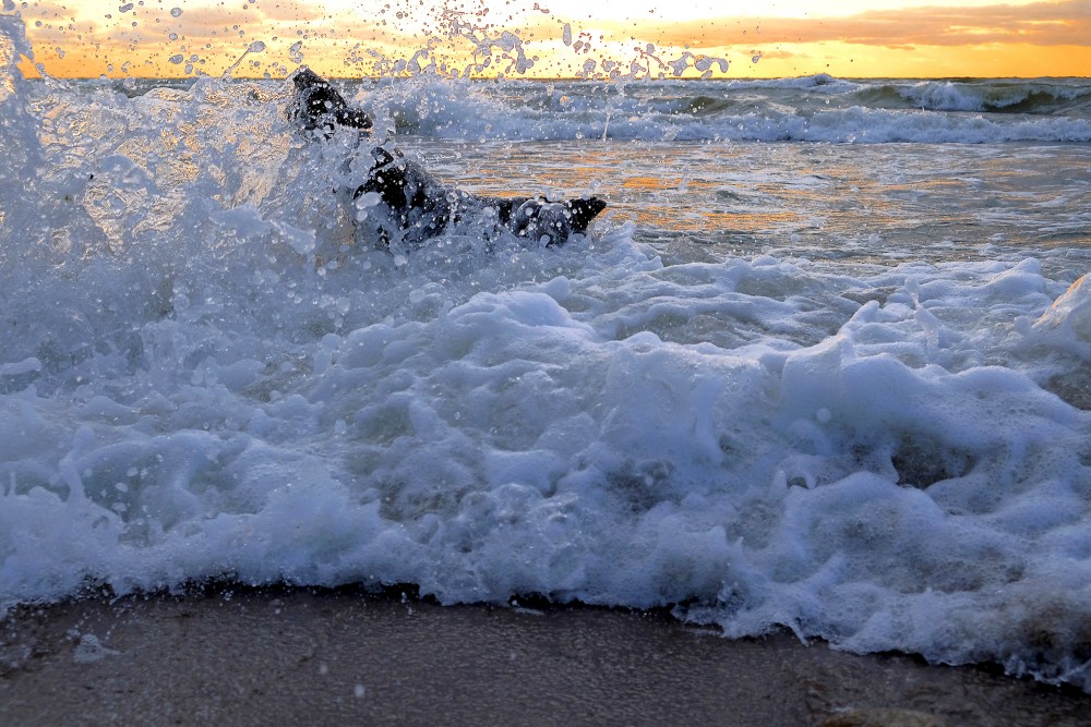 Jūras viļņu šlakatas