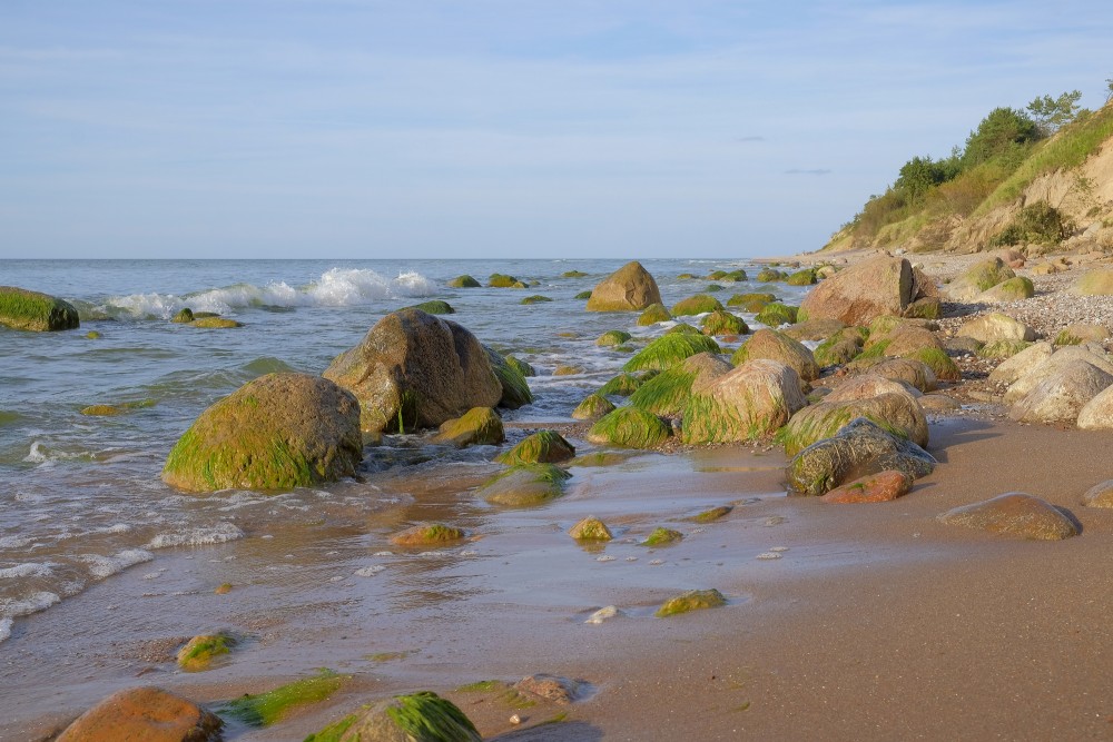 Stones on the Seashore