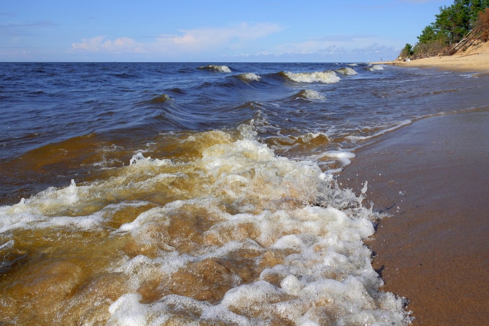 Sea Waves