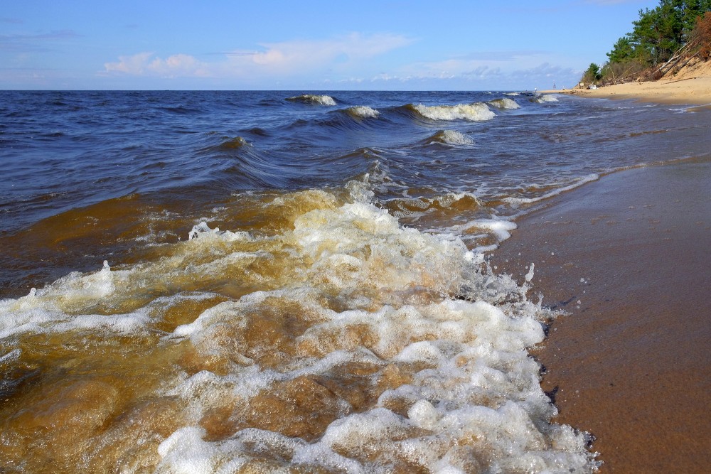 Jūras viļņi, Carnikavas pludmale