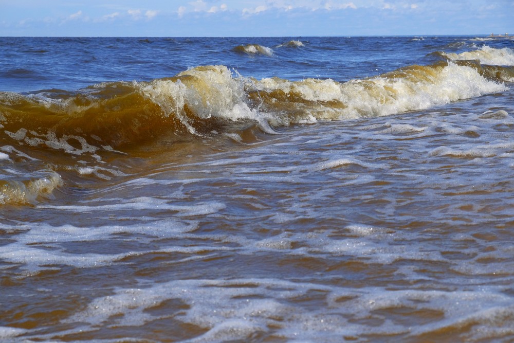 Sea Waves