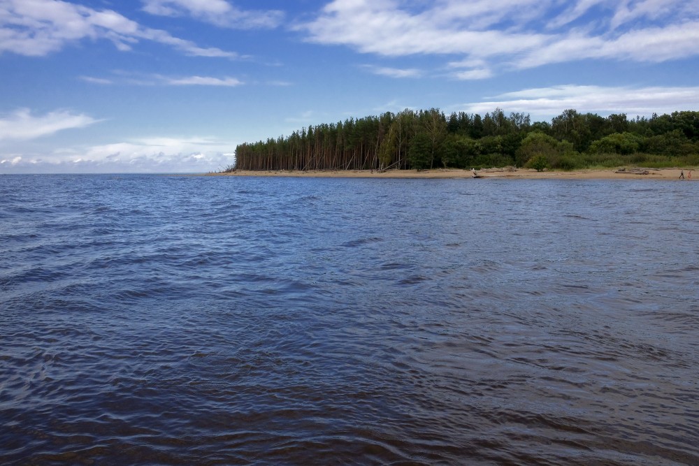 Gaujas ieteka jūrā