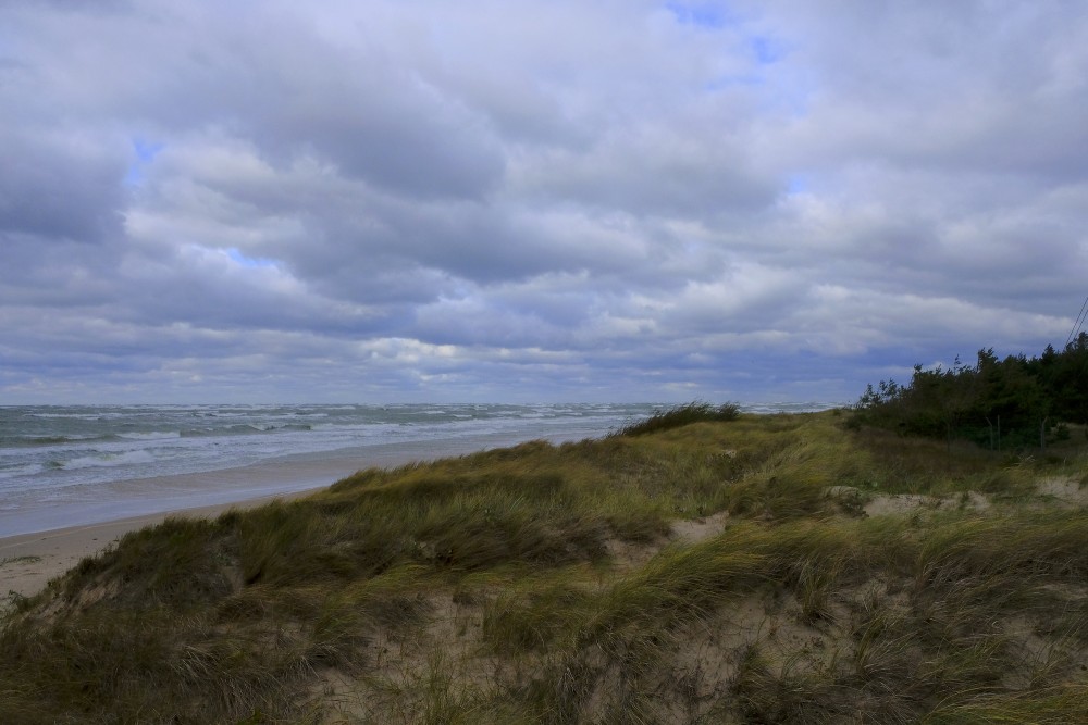 Seashores of Kurzeme on a Windy Autumn day