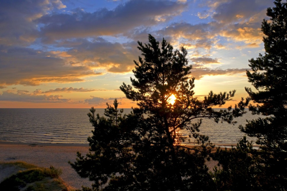 Saulriets Rīgas jūras līcī