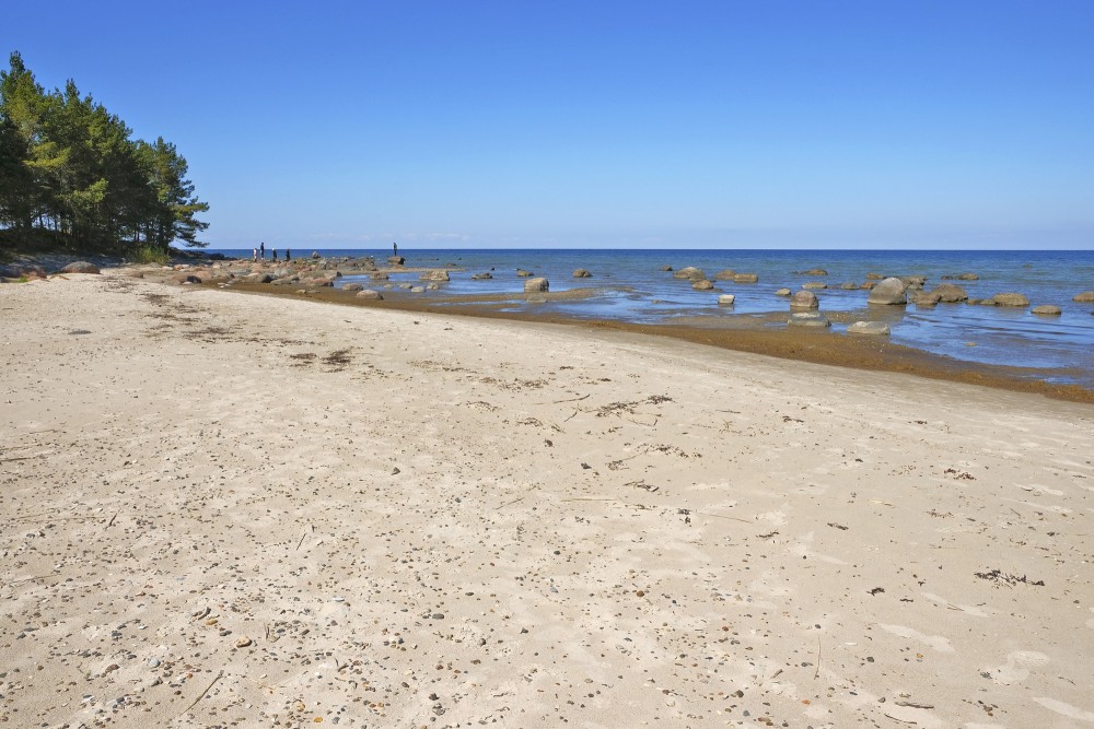 Mersrags Stony Beach, Latvia