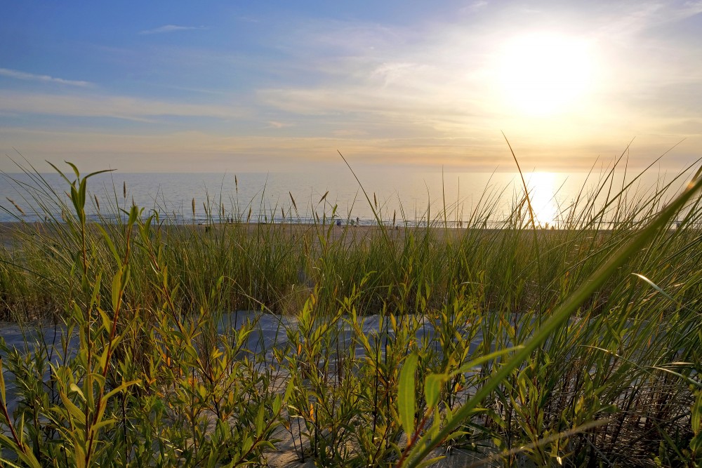 Saulriets Baltijas jūrā