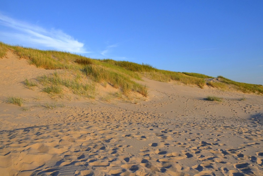 Ventspils Beach Dunes