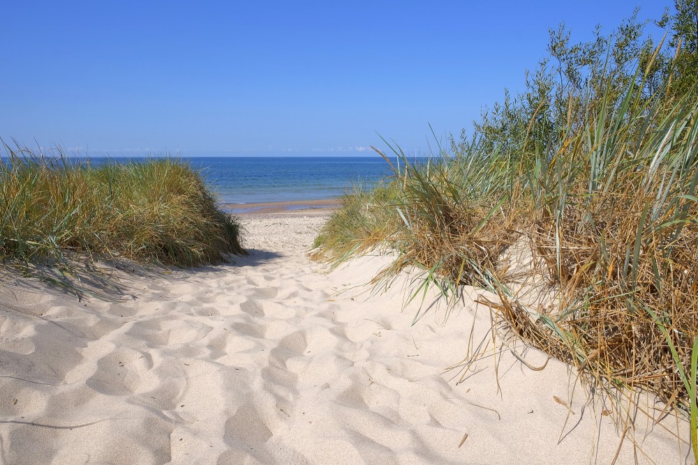 Smilšu kāpas ar taku uz pludmali un jūras horizontu