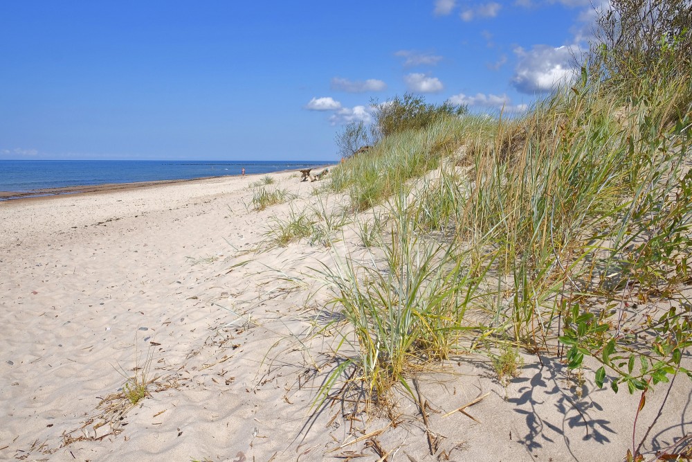 Smilšu pludmale ar kāpām un piekrastes veģetāciju