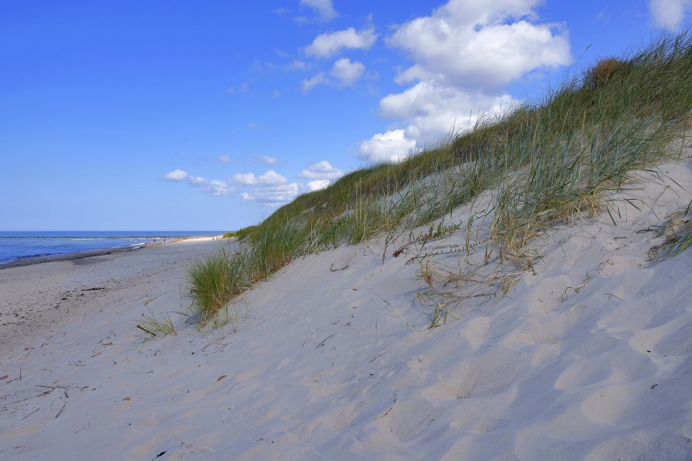 Smilšu kāpas Nidas pludmalē Baltijas jūras piekrastē