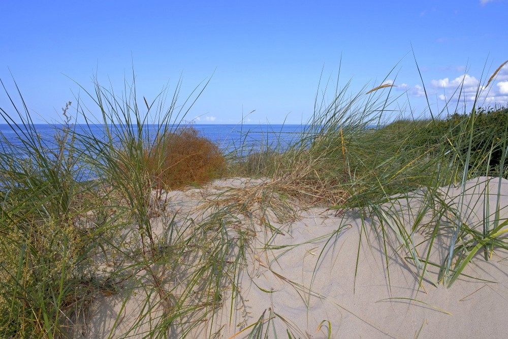 Ar zāli apaugušas smilšu kāpas un skats uz Baltijas jūru