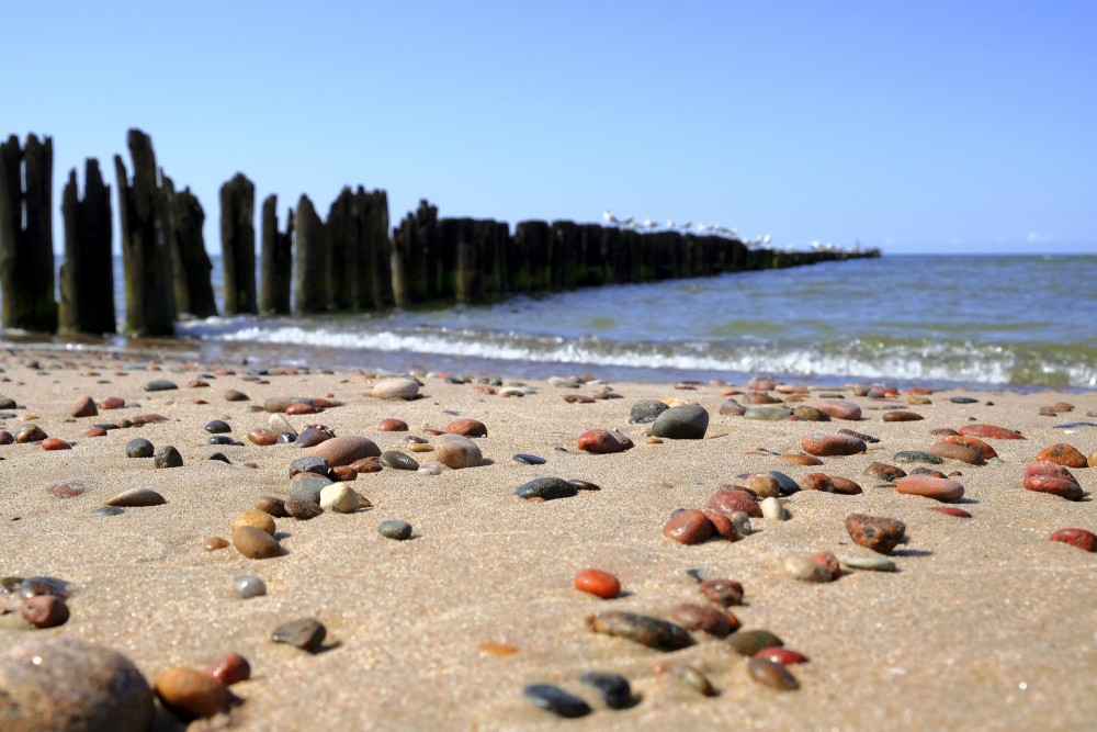 Nidas pludmale ar oļiem un koka steķiem jūrā