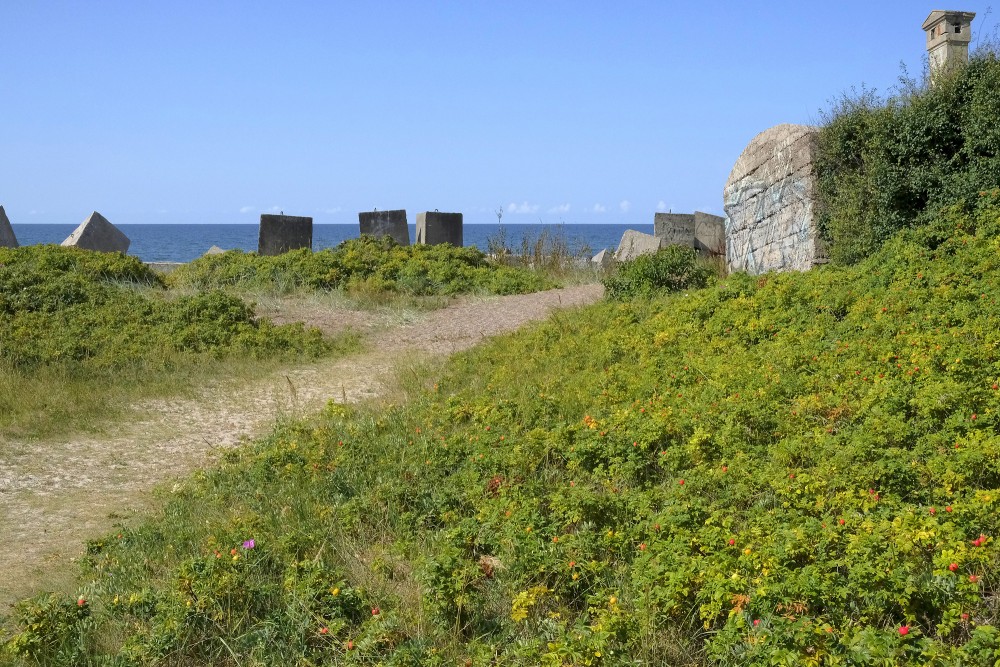 Piekrastes ainava ar betona blokiem un savvaļas veģetāciju