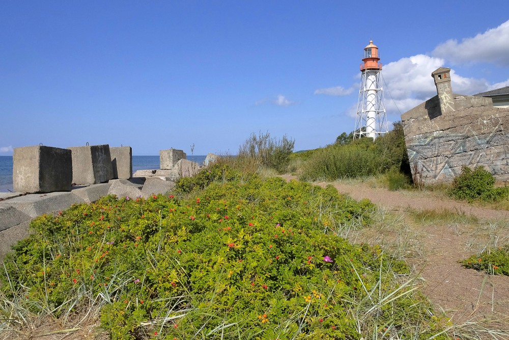 Papes bāka pie Baltijas jūras ar betona krasta aizsardzību un piekrastes veģetāciju