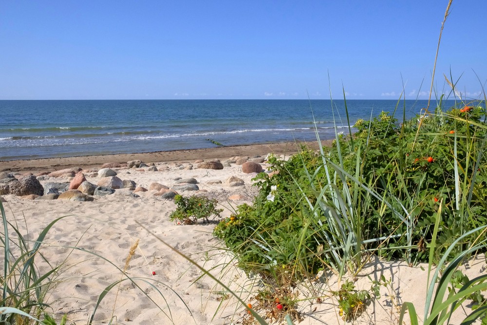 Smilšaina Papes pludmale ar akmeņiem un piekrastes veģetāciju