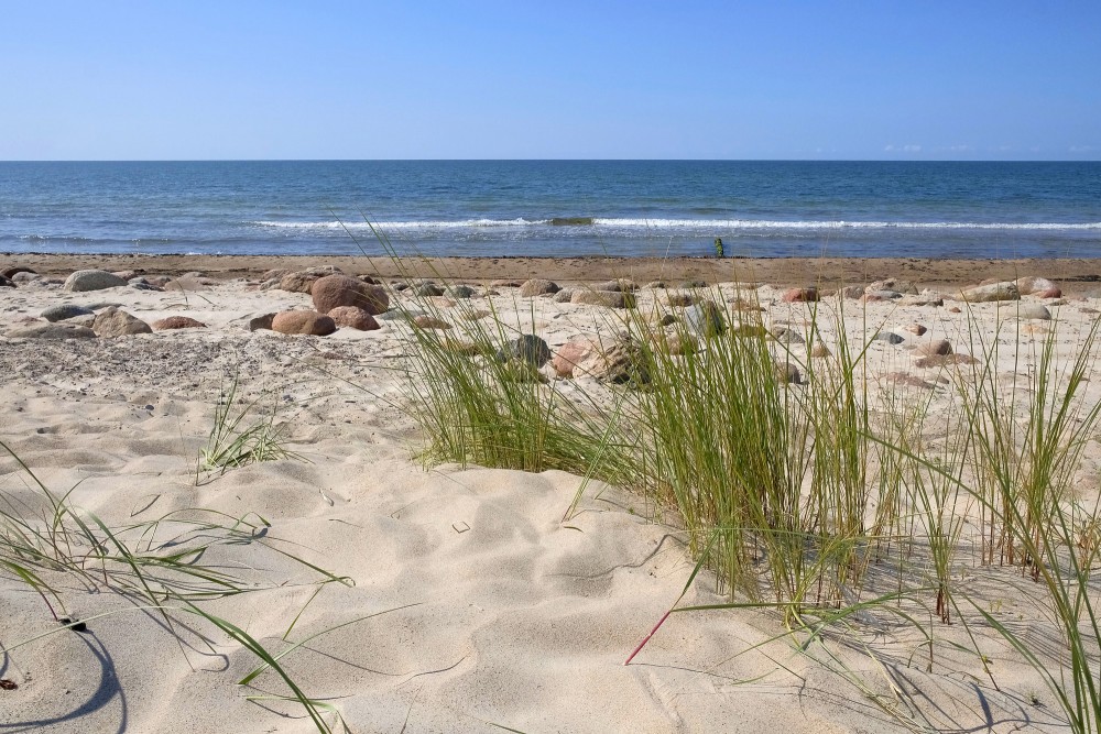 Smilšaina Baltijas jūras piekraste ar zāli un akmeņiem