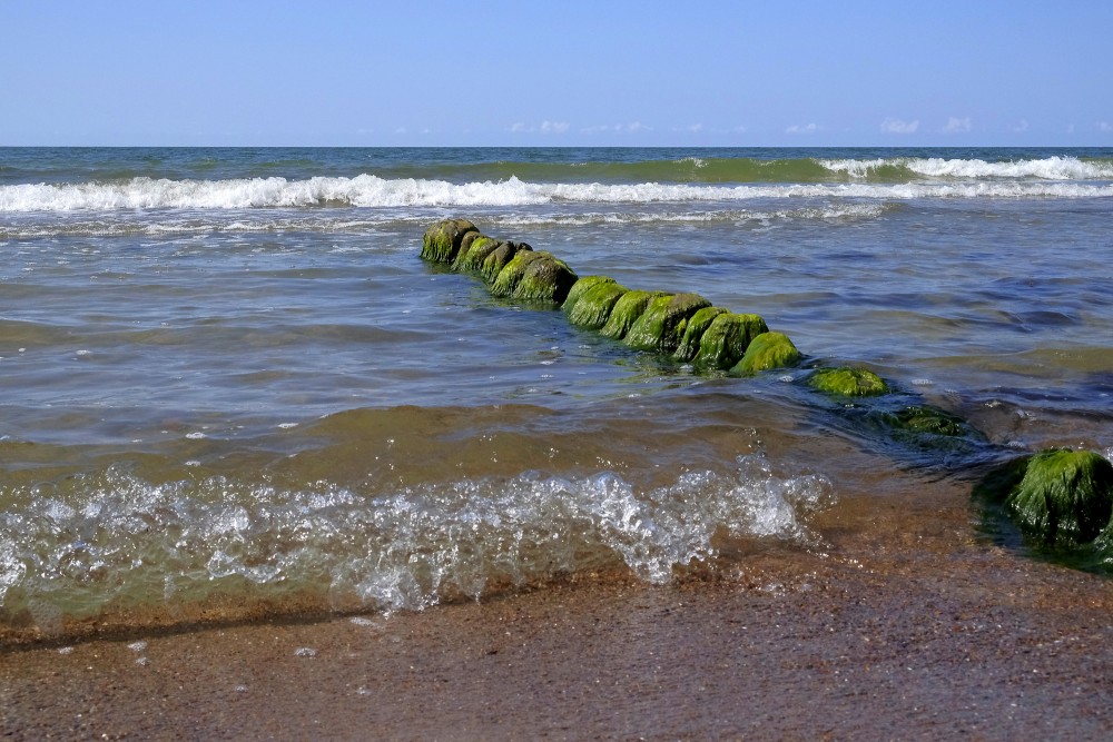 Wooden pier remains in waves along a sandy Baltic Sea beach