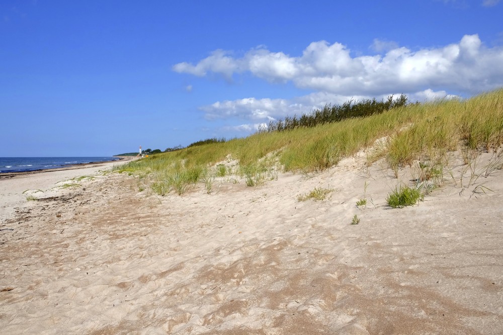 Papes pludmales kāpas ar bāku fonā