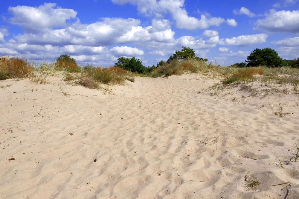 Smilšaina taka starp piekrastes kāpām zem zilām debesīm