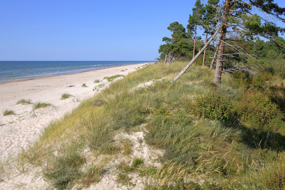 Piejūras kāpas ar priedēm un plašu smilšainu pludmali Bernātos