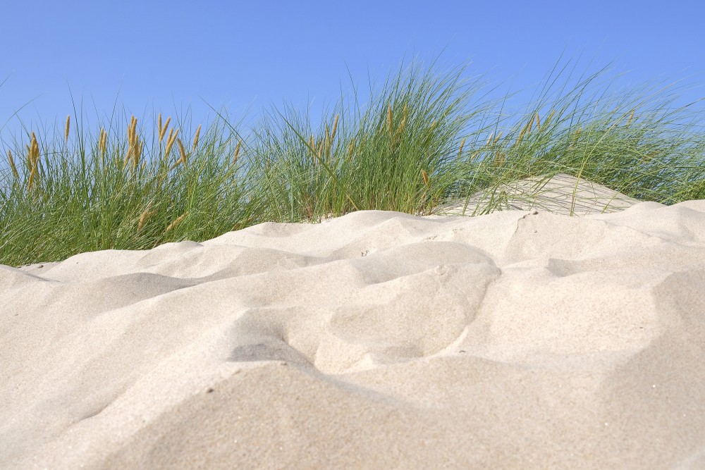 Smilšu kāpa ar jūrmalas zāli un zilām debesīm