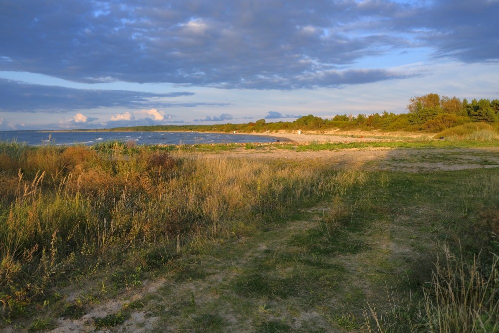 Pavilosta coast near the pier and grassy dunes at sunset