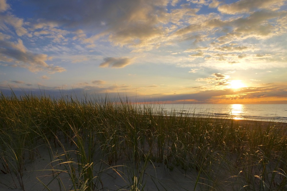 Sunset over the sea behind grassy sand dunes Sunset over the sea behind grassy sand dunes