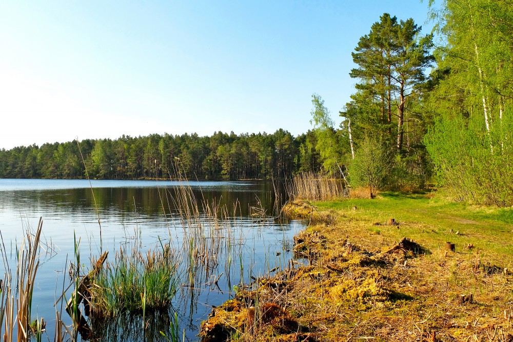 Melnezers, purva ezers, Ķemeru nacionālais parks