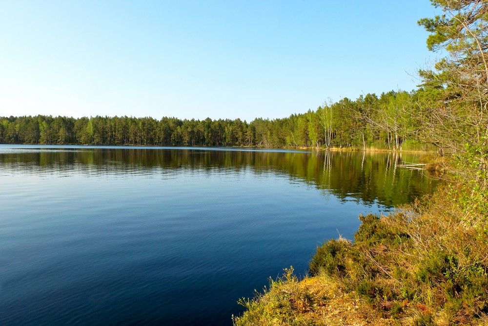 Melnezers, Ķemeru nacionālais parks