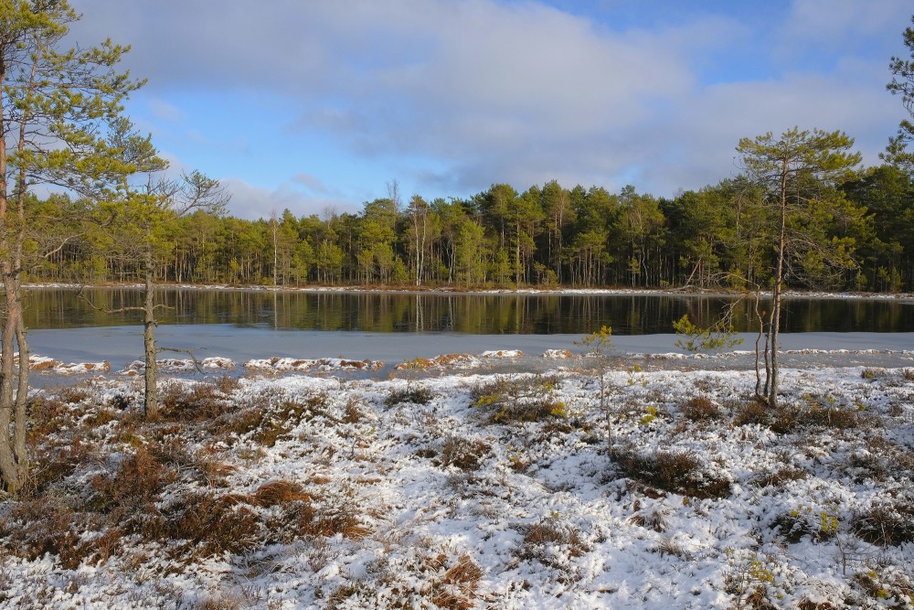 Winter Landscape of Lake Bezdibenis