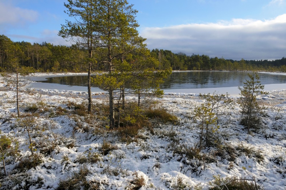 Bezdibeņa ezera ziemas ainava