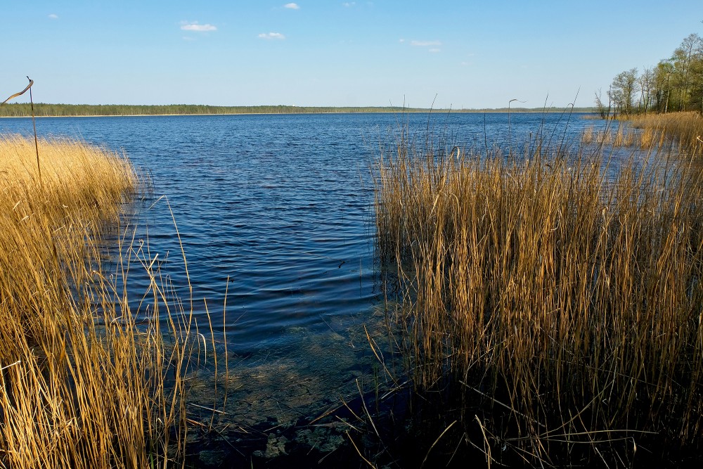 Sloka Lake near Birdwatching Tower