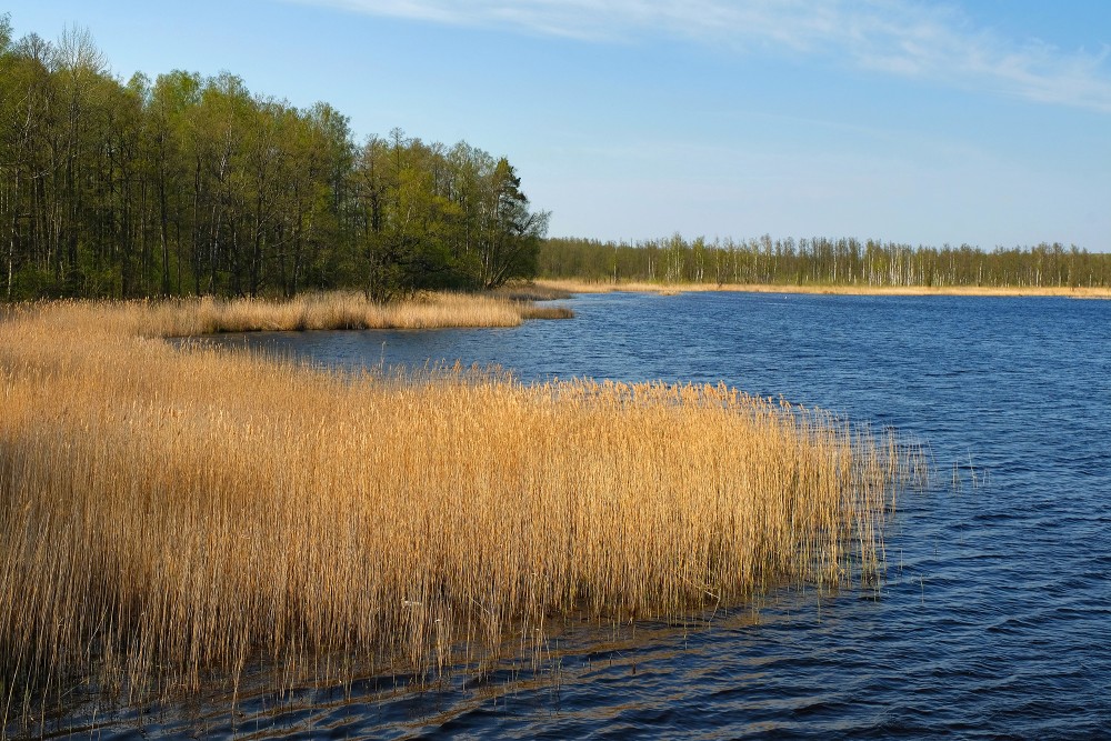 View of Lake Sloka from Birdwatching Tower