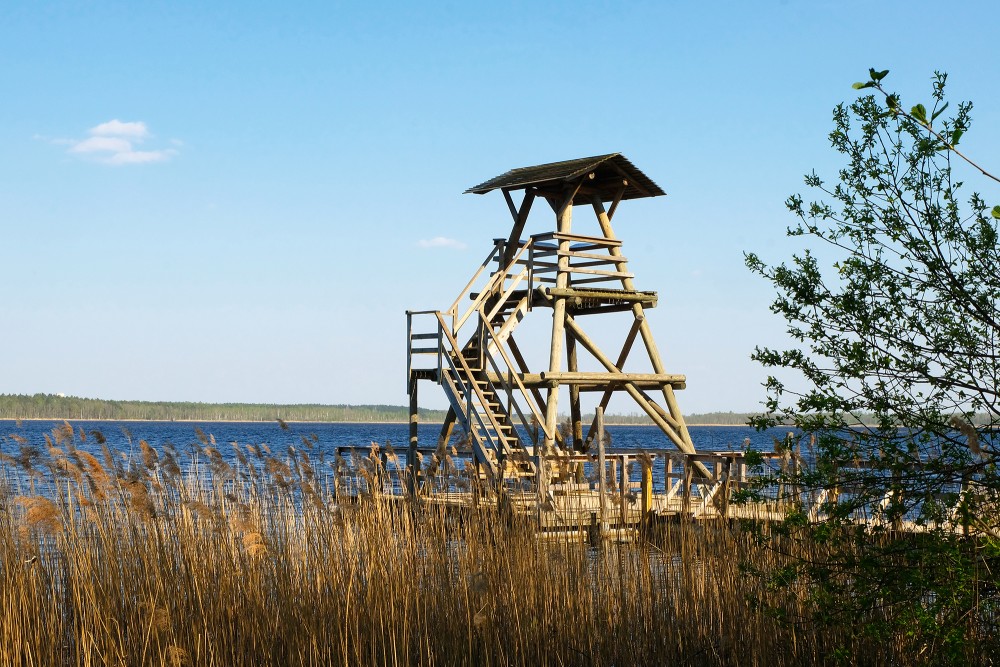 Sloka Lake Birdwatching Tower 