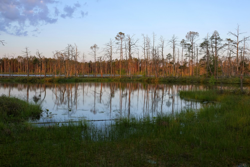 Morning Landscape Of Lake Skaists