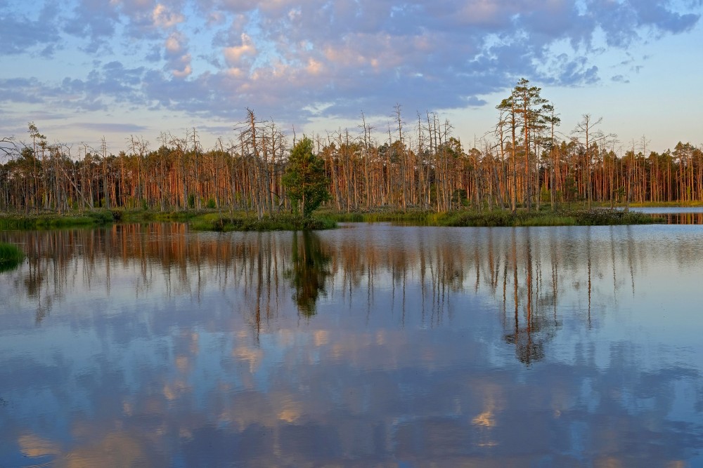 Morning Landscape Of Lake Skaists