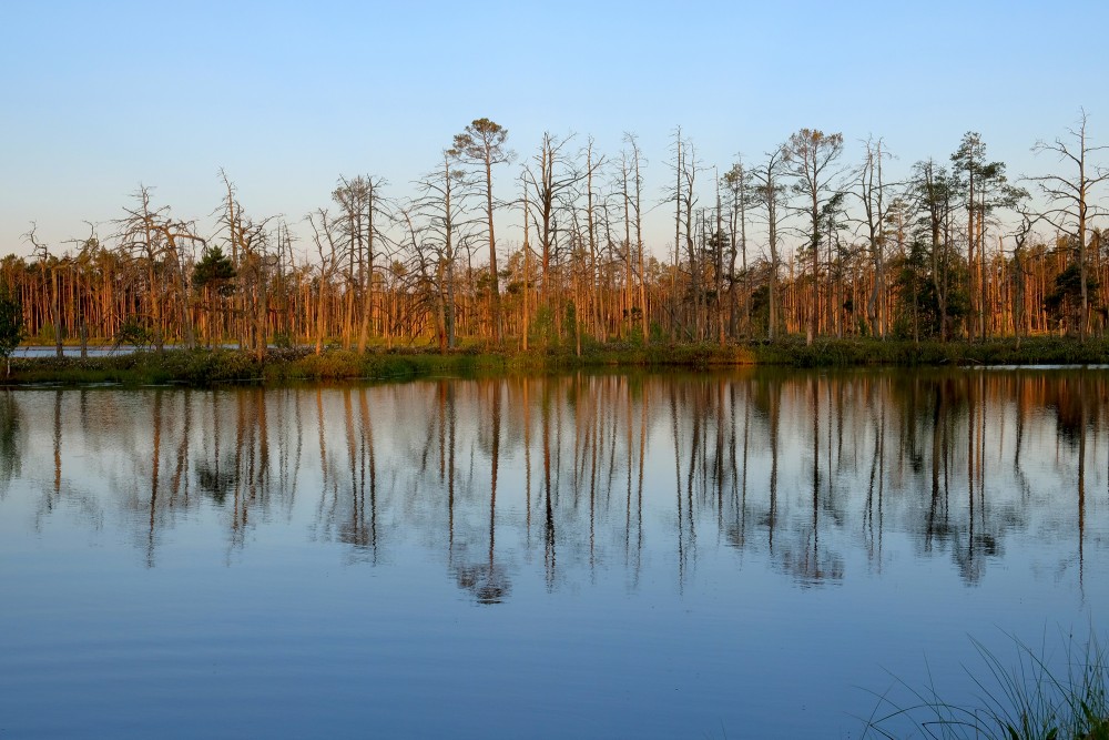 Morning Landscape Of Lake Skaists
