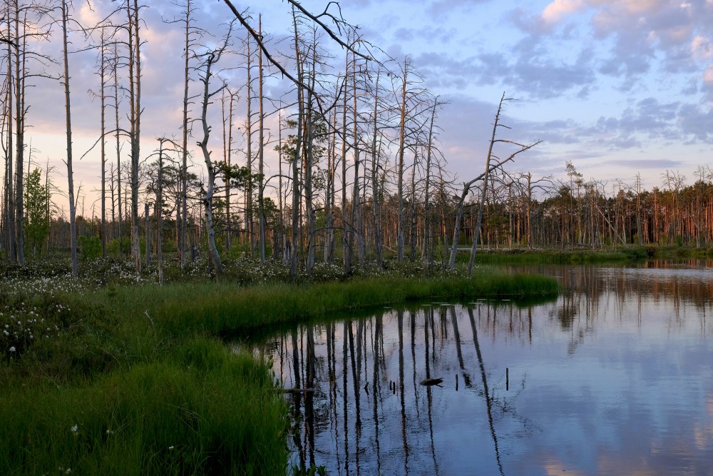 Lake Skaists And Cena Bog