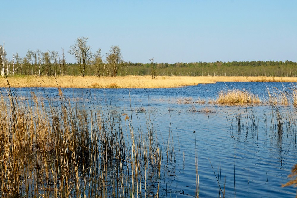 View of Lake Sloka from Walking Trail