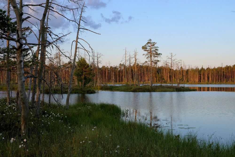 Lake Skaists And Cena Bog