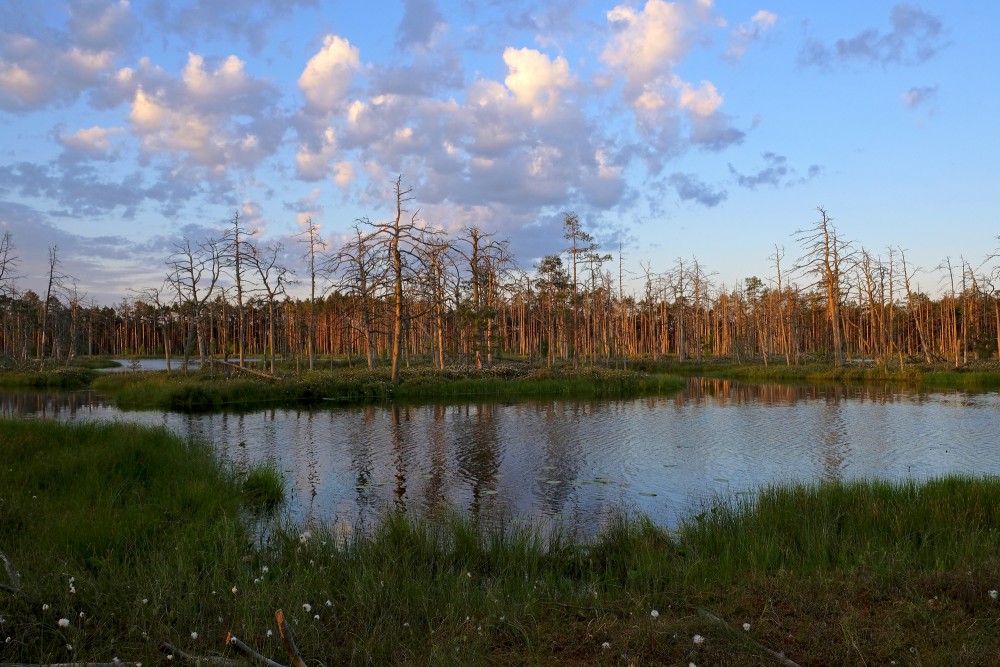 Lake Skaists And Cena Bog 