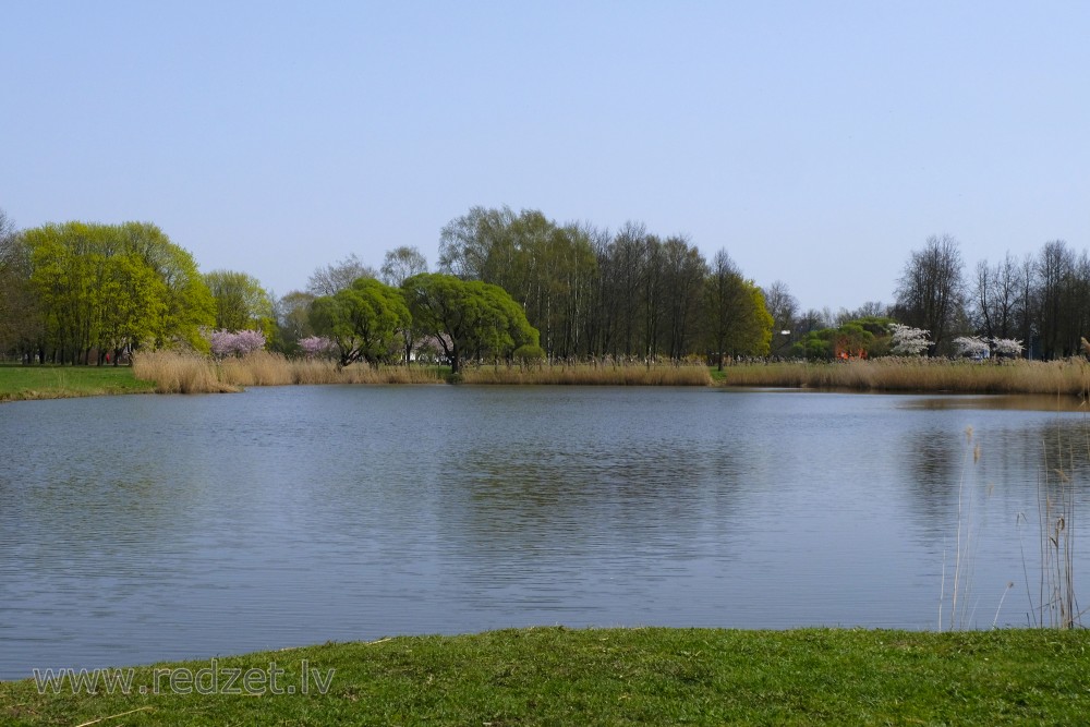 Victory Park Pond