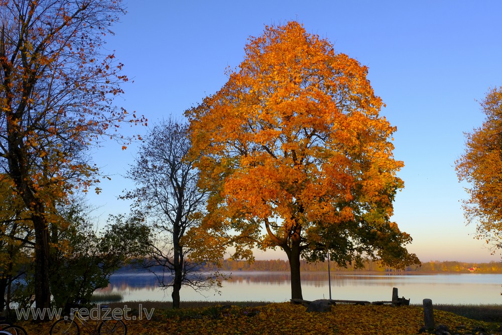 Autumn Landscape on the Shore of Lake Marinzeja