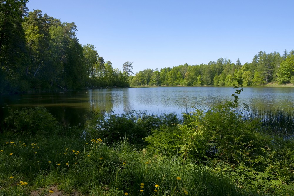 Kazdanga Dzirnezers Lake, Landscape